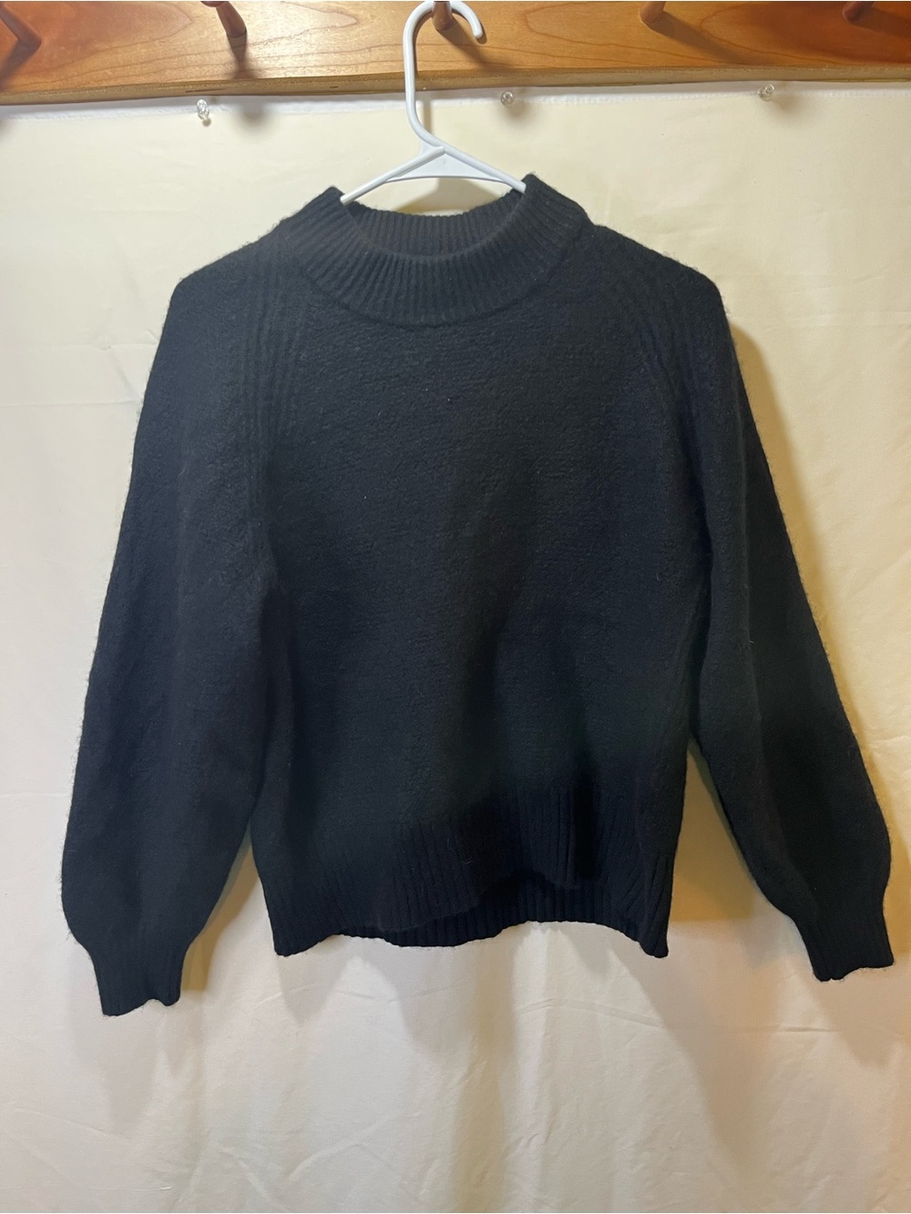 Everlane Black 100% Cashmere Mock Neck Knit Sweater